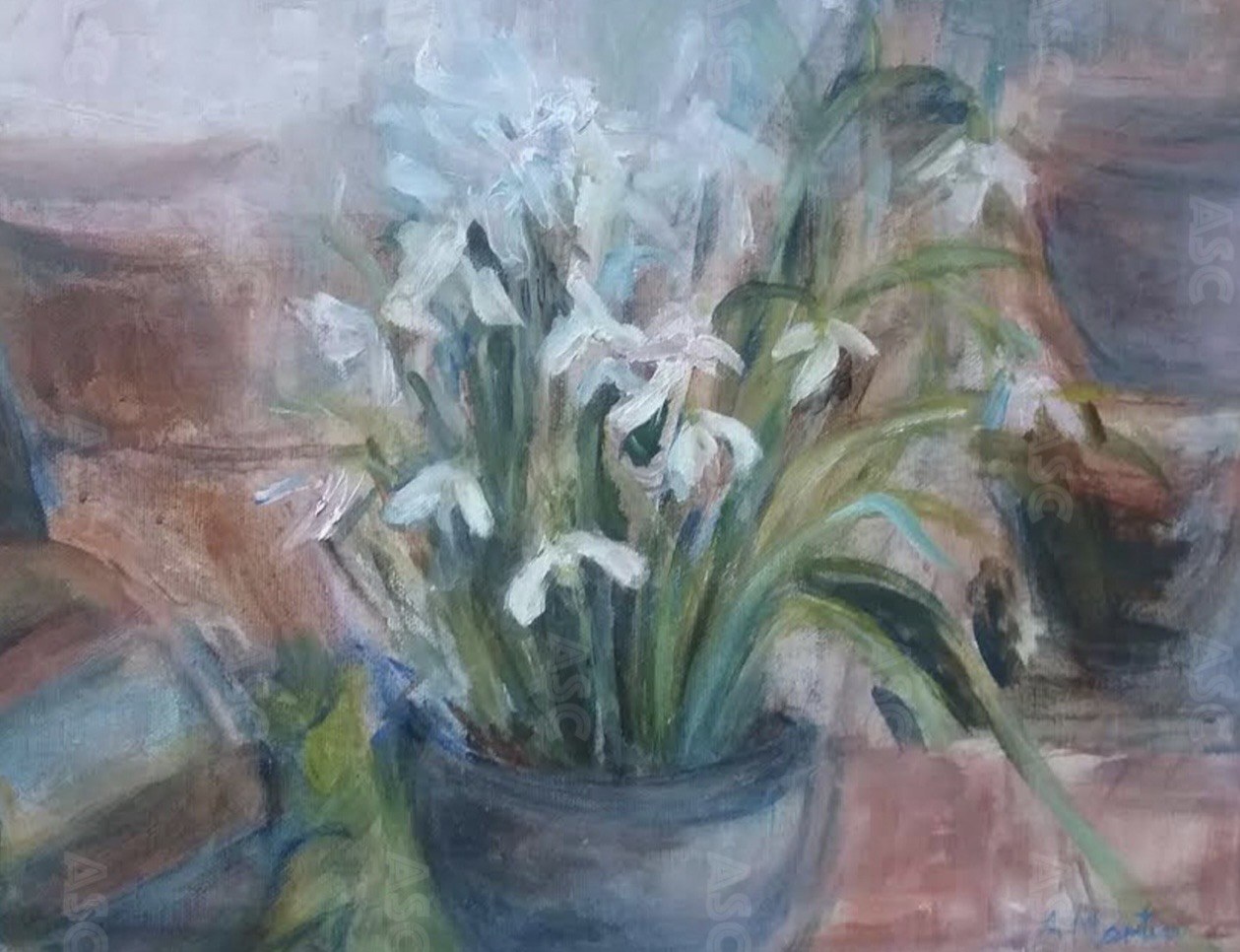 SNOWDROPS