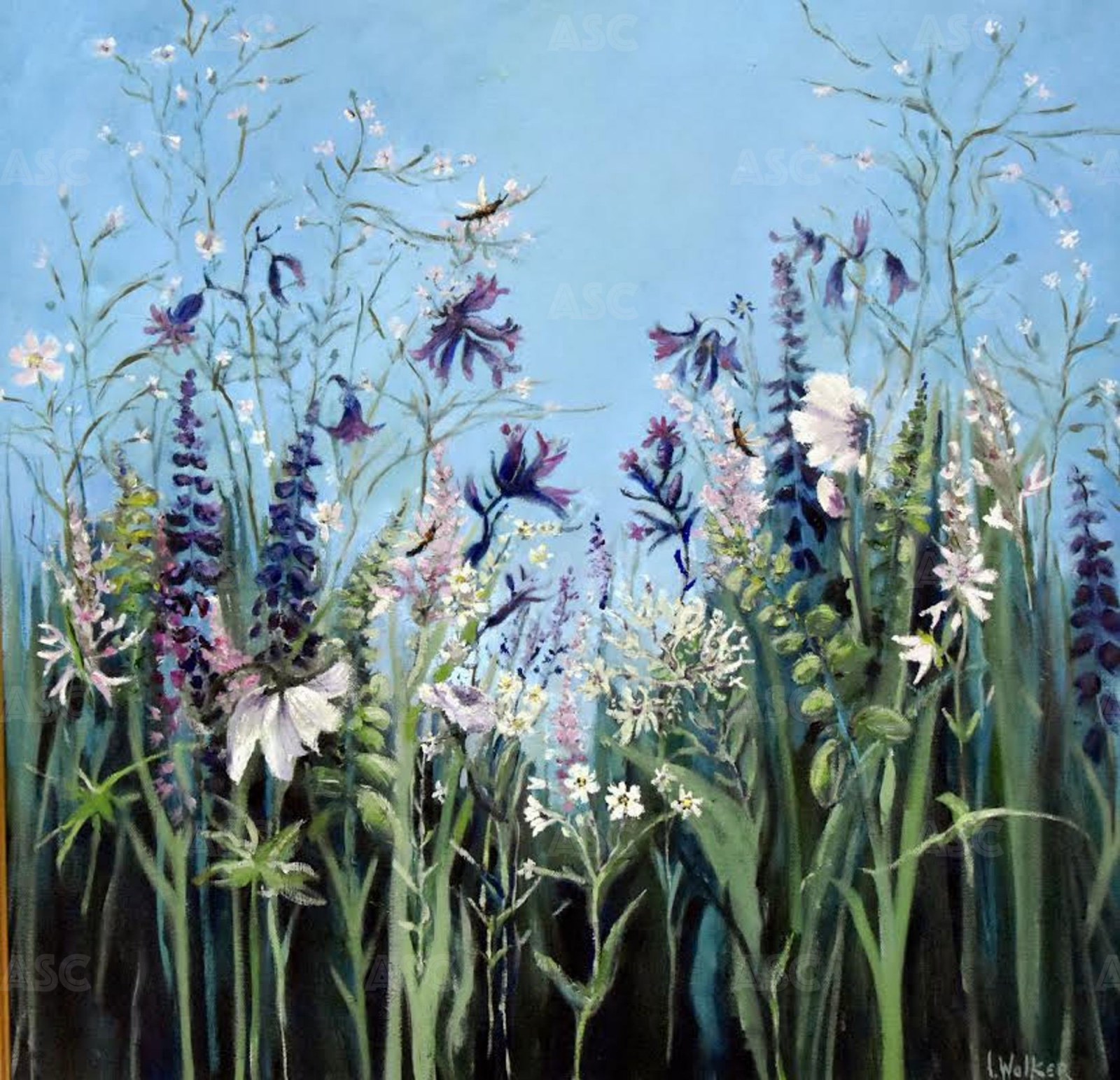 Hornets Amongst the Flowers