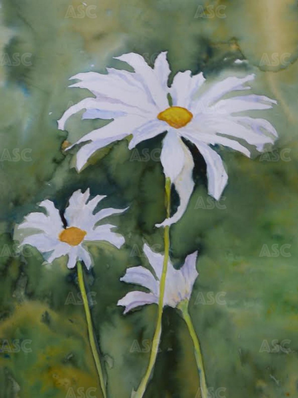 Artwork by Patricia Candlish