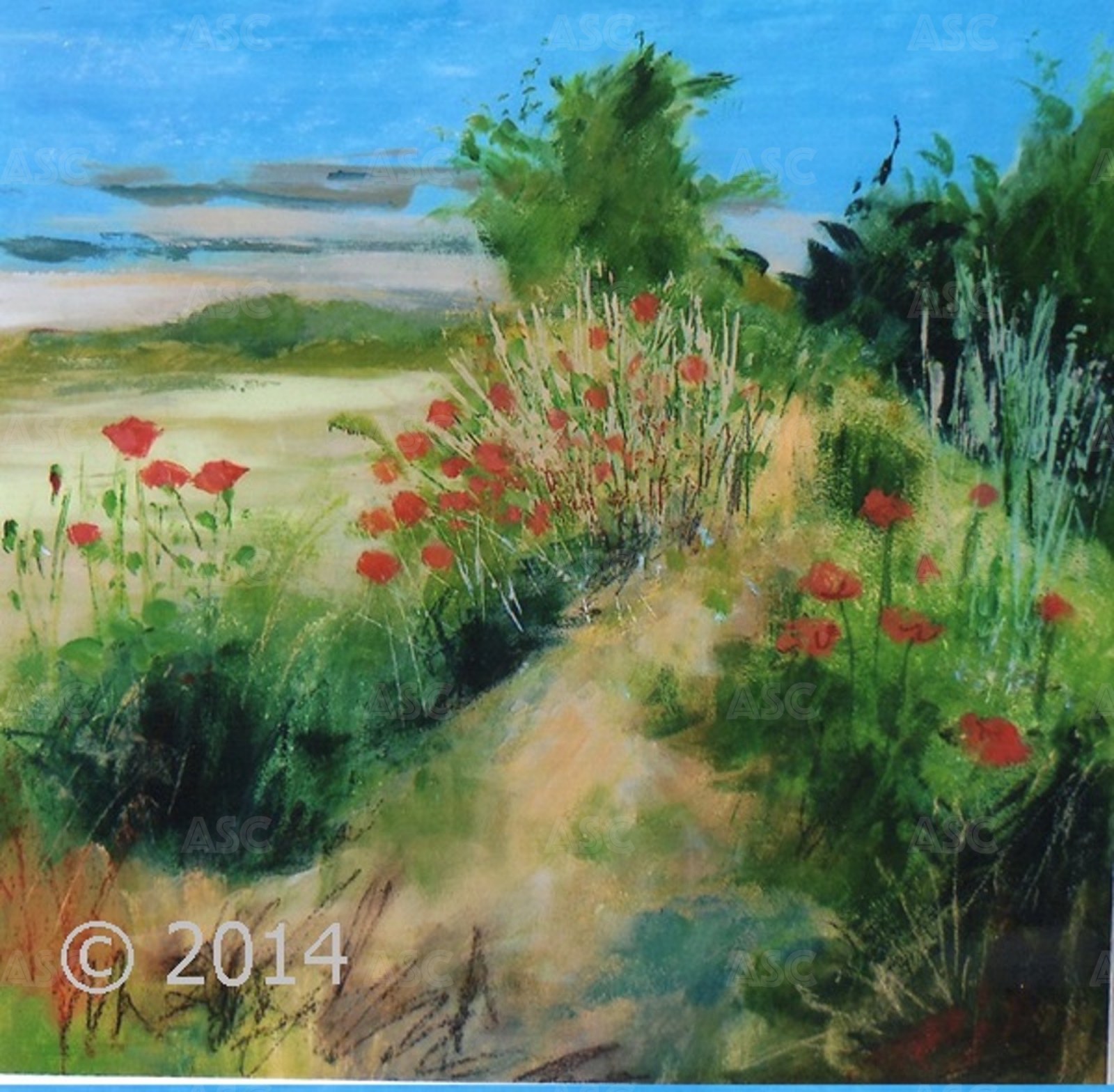 Poppies at Croy