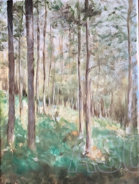 Woodland Walk
