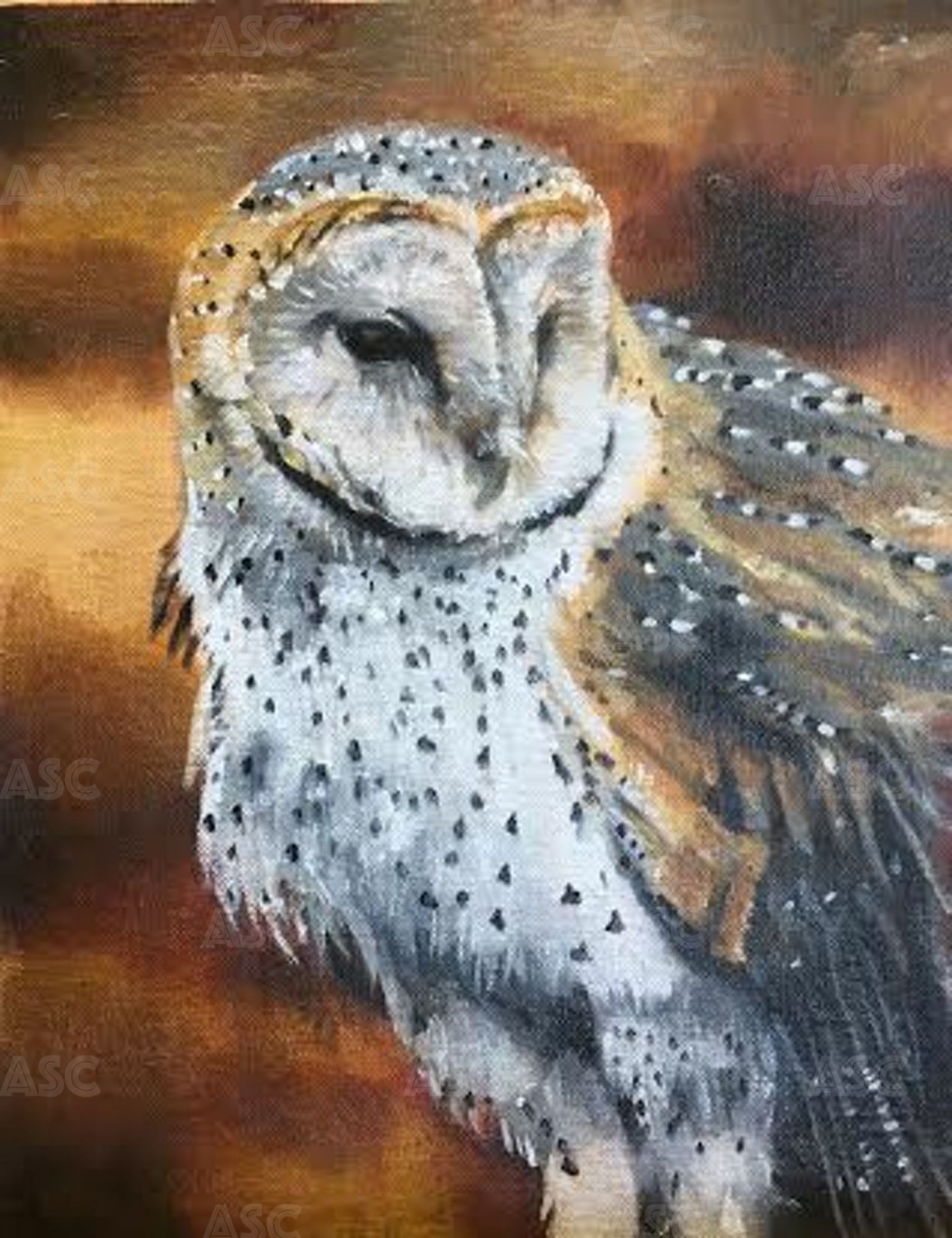 Artwork by Neil Cramond