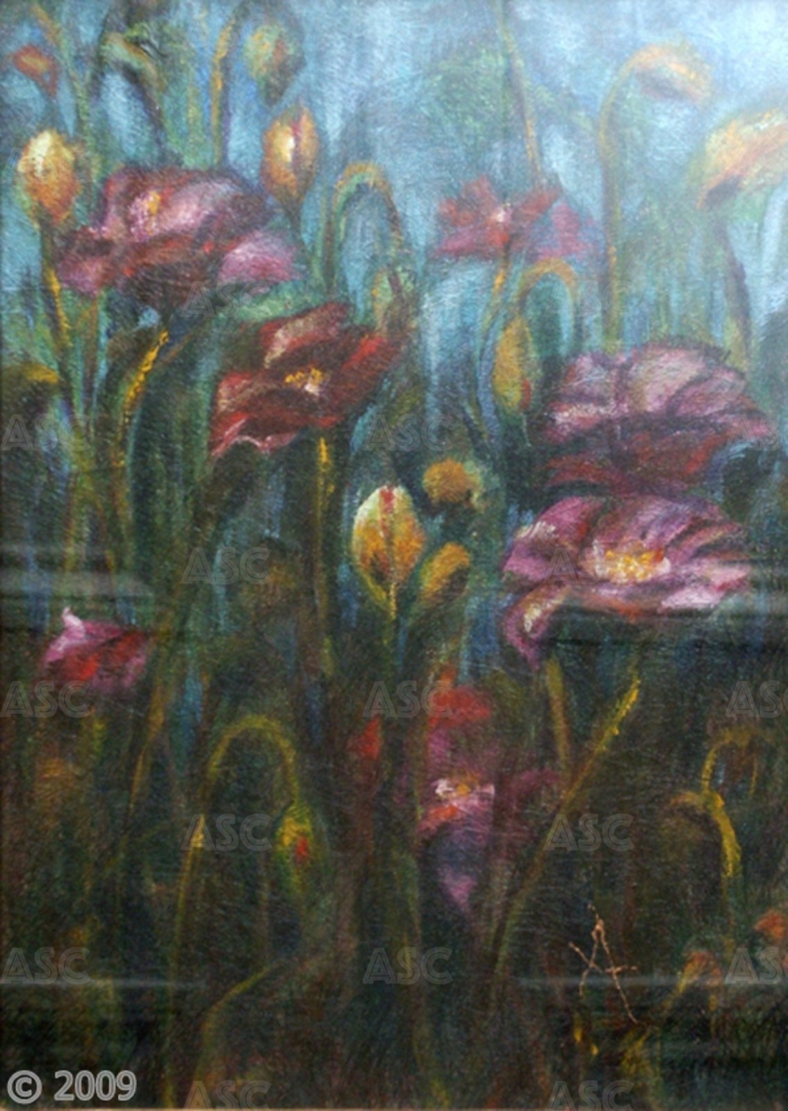 Meadow