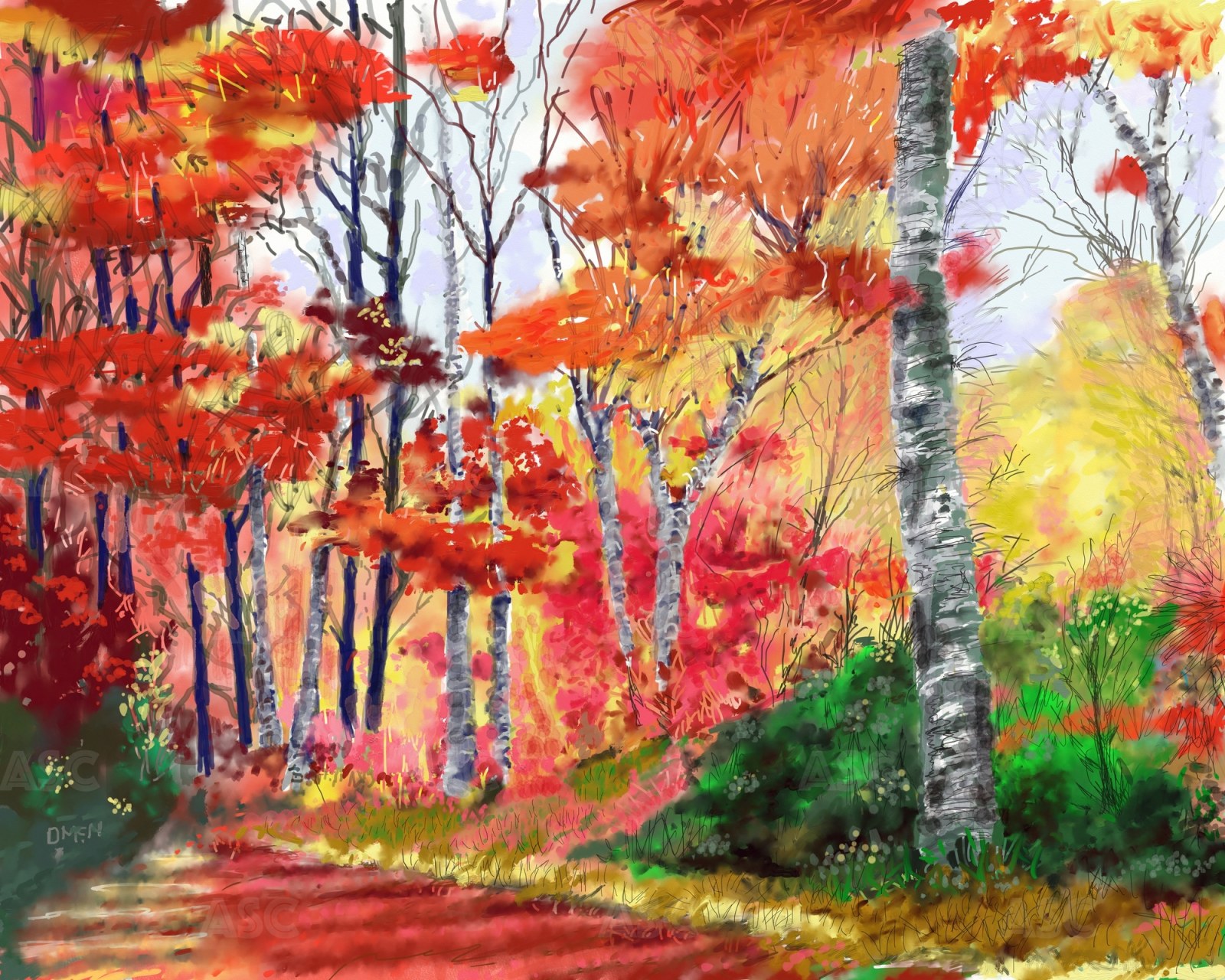 Bright Forest