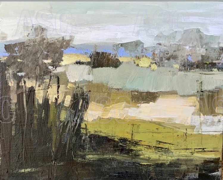 Winter Fields